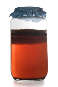 kombucha