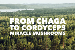 chaga, reishi, cordyceps